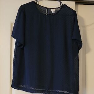 A New Day Blue Boxy Short Sleeve Blouse